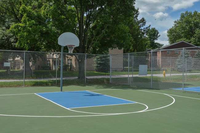 Basketball Court