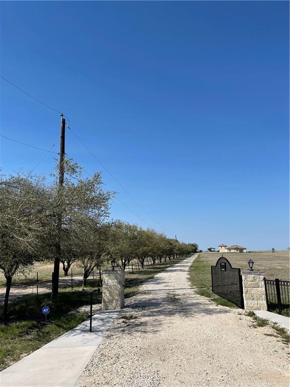 Photo - 13000 Pfluger Berkman Rd