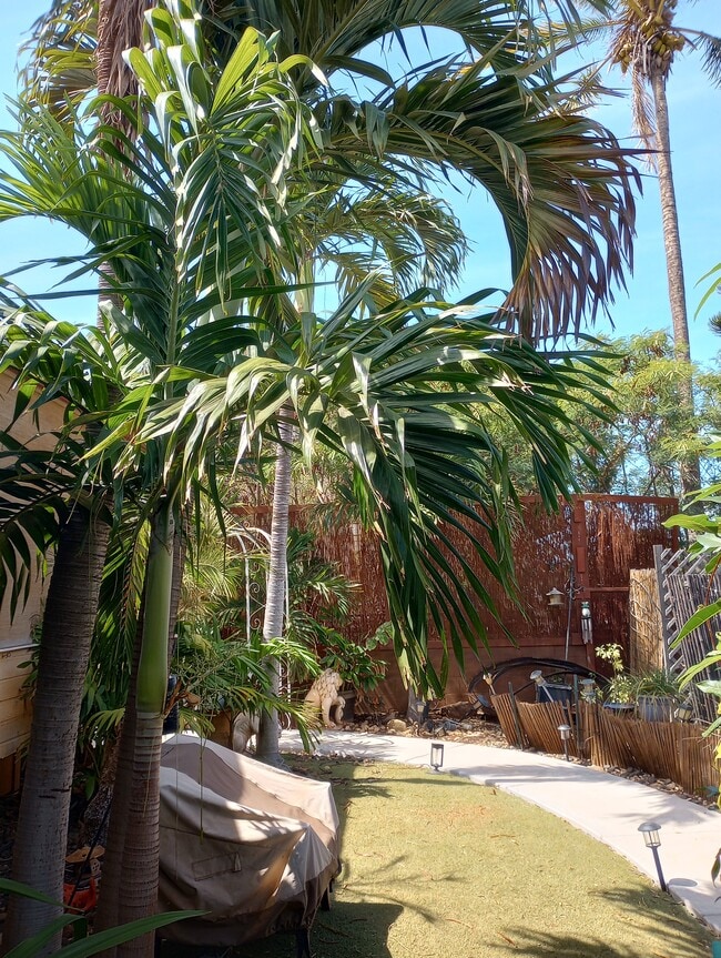 Lush abundant Palms, several Hibiscu & Plumeria varieties- Quiet nature