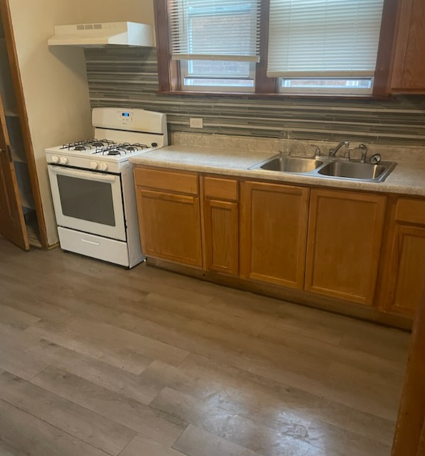 Photo - 8230 S Hermitage Ave Apartment Unit 8230 South Hermitage Ave Chicago Ill