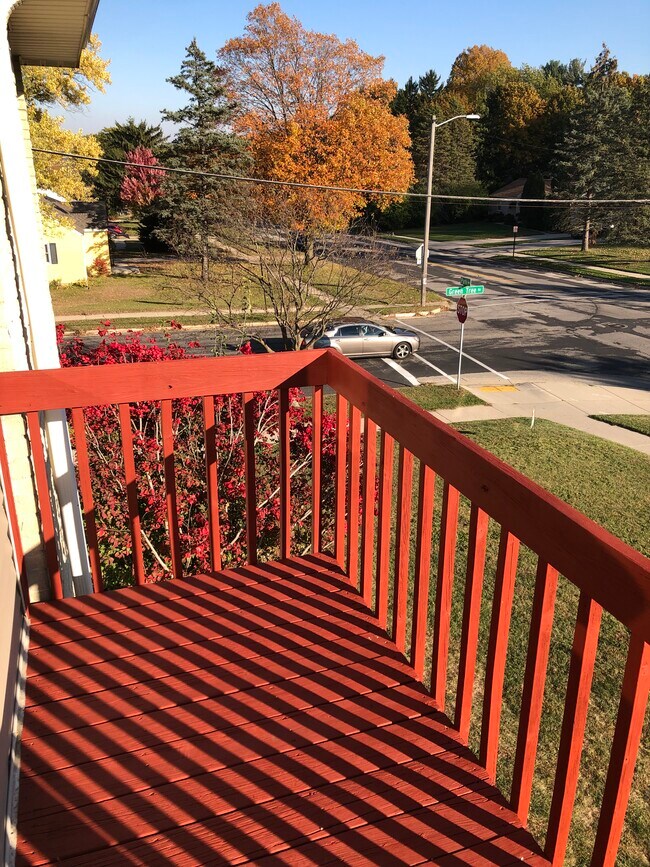 outside private balcony - 1104 Green Tree Rd Apartments Unit 3