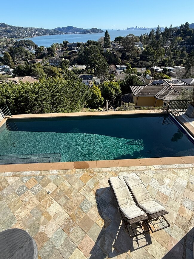 Private outdoor pool - available all year, heated, infinity, pool cover, pool toys, saltwater - 115 Inez Pl