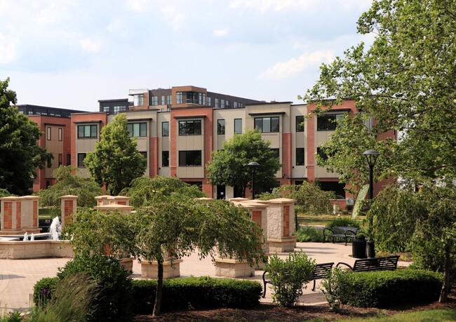 Photo - Lions Park Row