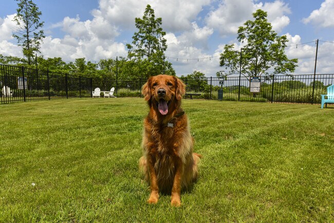 Photo - The Mill at Westside