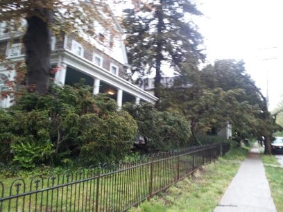 Photo - 15 E Mermaid Ln Unit 2