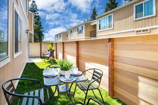 Patio and Yard