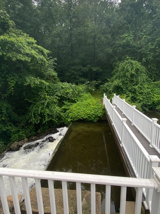 Photo - 28 Armstrong Rd