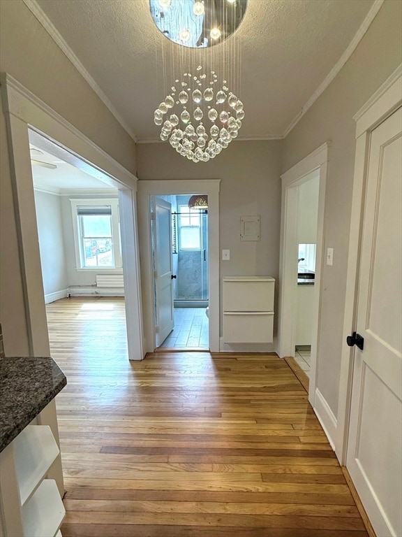 Photo - 20-2 Chiswick Rd Unit 2