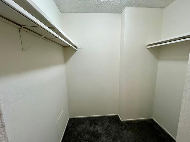 Photo - 6227 Shelter Creek Ln