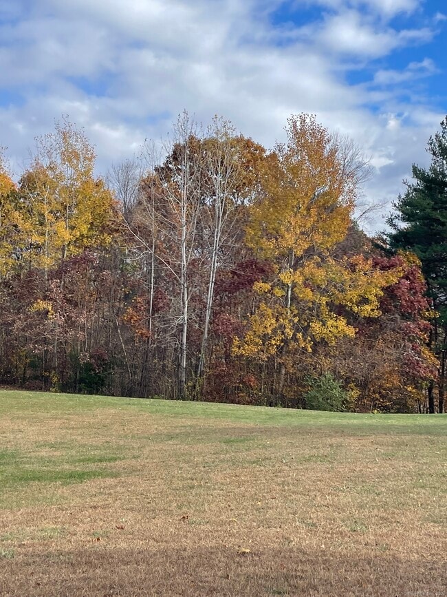 Photo - 86 Buff Cap Rd