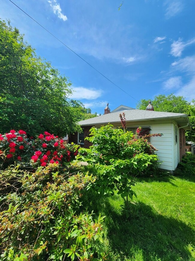 Photo - 103 Gibbs St