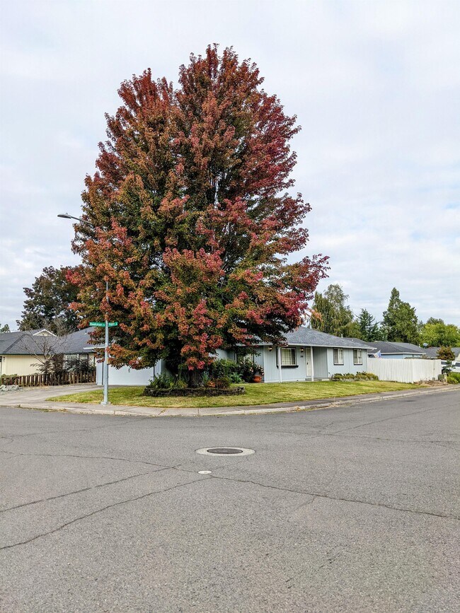 1398 Beekman Ave Rental House Rental in Medford, OR