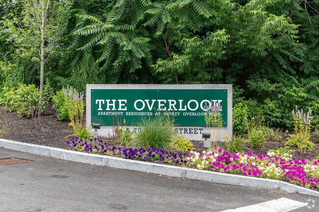 The Overlook