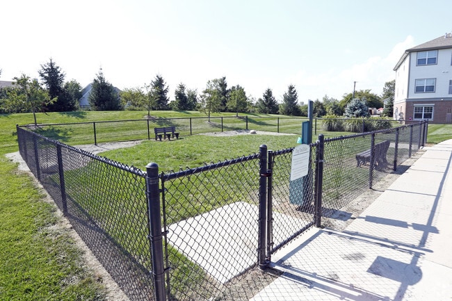 Dog Park