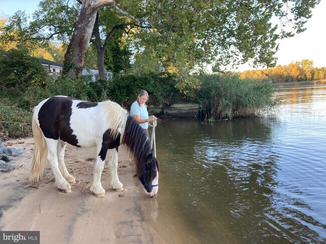 Photo - 137 Elk Ranch Park Rd House
