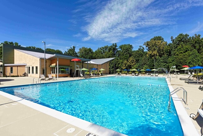 Sparkling Pool with Lap Lanes