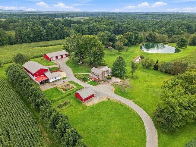 43 Jervis Rd