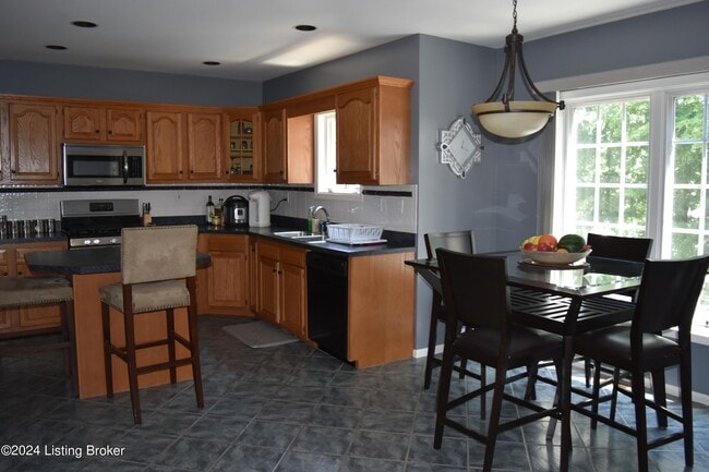 3331 Audubon Ridge Dr
