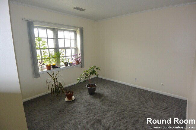 Photo - 178 Lake Shore Rd Unit 4