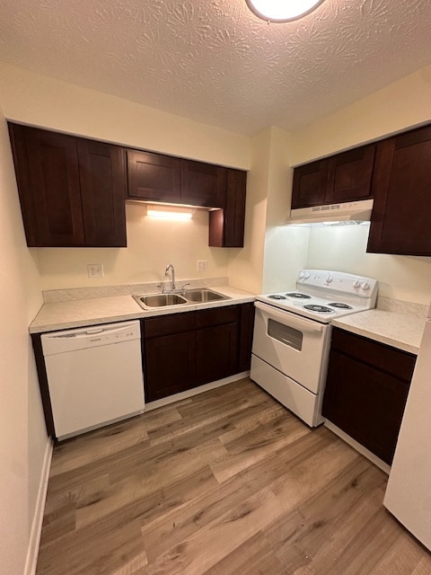 Upgraded 2 BR 1 BA