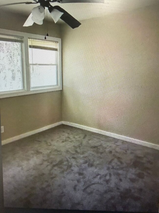 Photo - Country setting