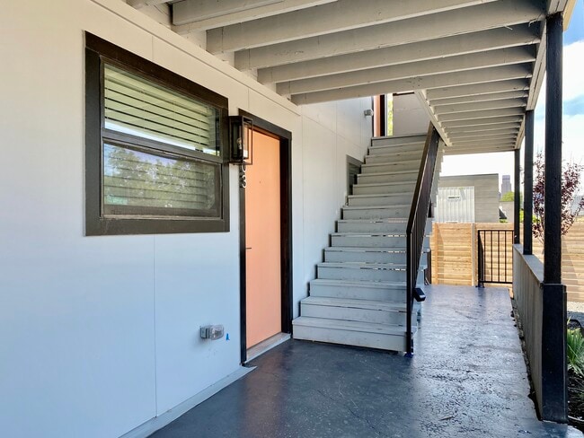 The Pomelo - The Pomelo