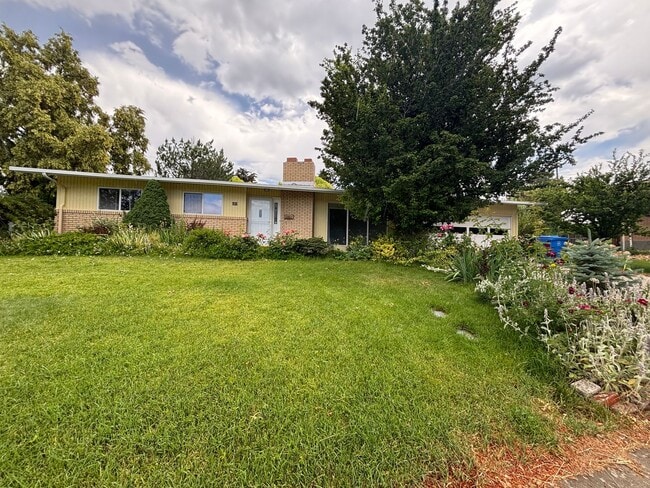 Great University Area Home! - Great University Area Home!