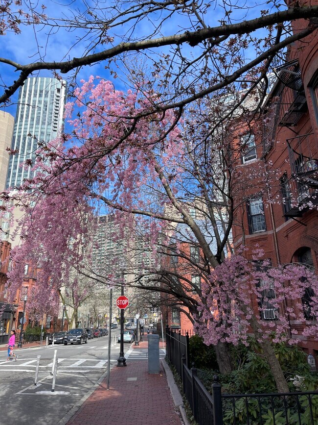 Photo - 104 Saint Botolph St