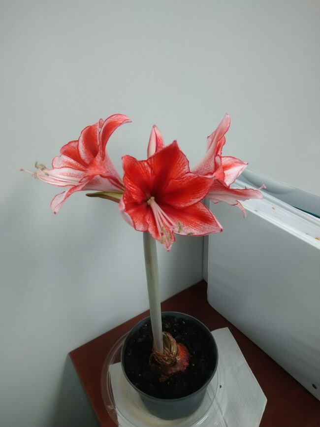 Cozy and Convenient - 416 Grove St Unit 416