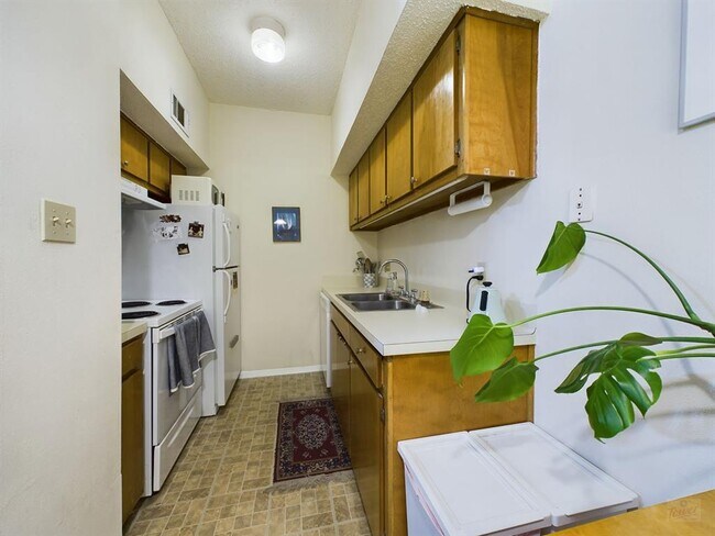 Photo - 3316 Guadalupe St Condo Unit 317