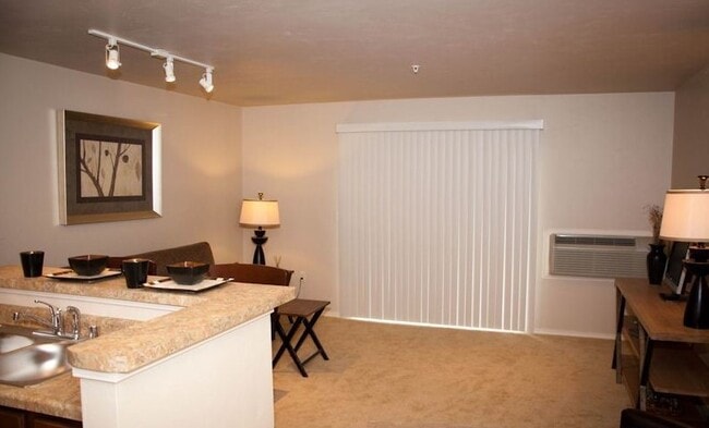 Spacious Studio