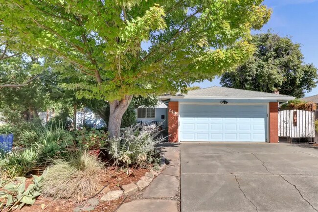 Photo - Charming 3 bed 1 bath home in Davis