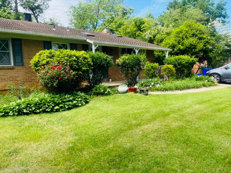 Photo - 11714 Smoketree Rd