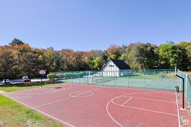 Canchas deportivas