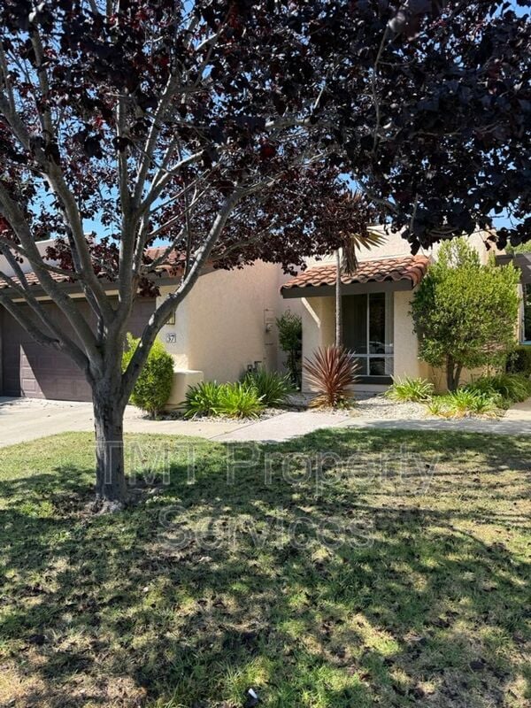 Building Photo - 37 El Mirador Ct