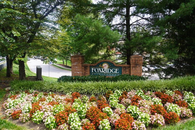 Photo - 4212 Dressage Ct