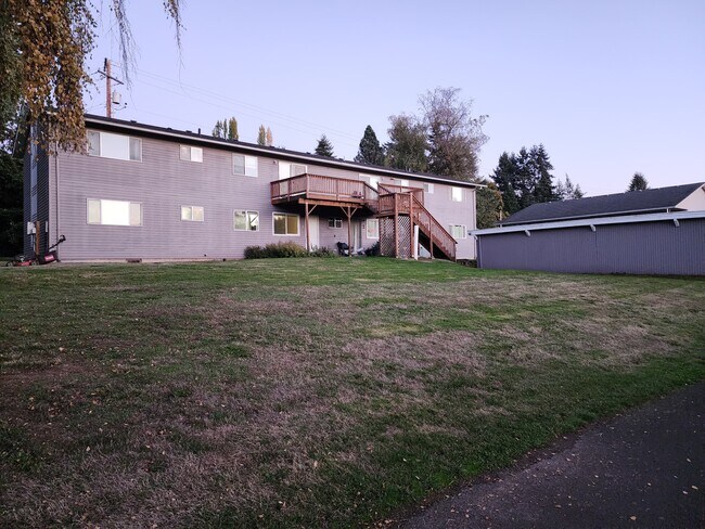 Back yard