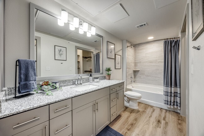 Garden Tub and Granite Countertops - Aspire at Sherman