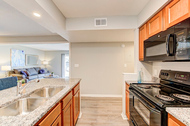 Black Appliances & New Fixtures - Waterside at Castleton