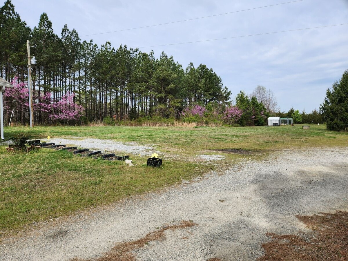 2 Bed 1 bath Duplex unit -Blackstone-Fort Picket Area - 2 Bed 1 bath Duplex unit -Blackstone-Fort Picket Area