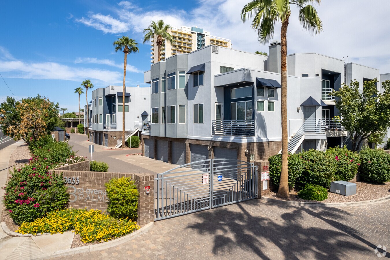 Photo - 3rd Avenue Palms