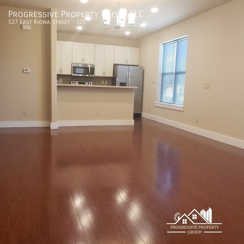 Photo - 527 East Kiowa Street-101