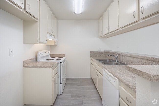 1BR, 1BA - 725SF - Kitchen