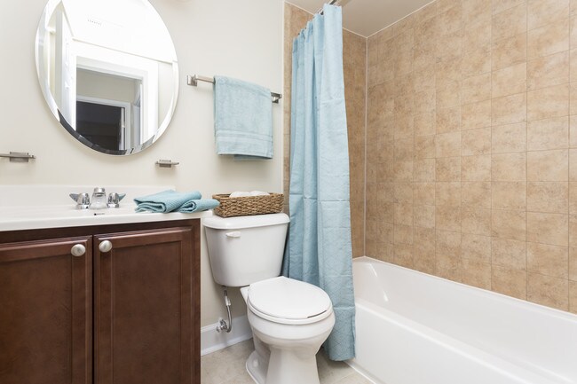 Photo - Stevens Walk