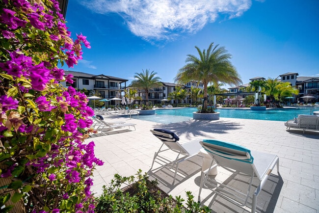 Photo - Town Hollywood