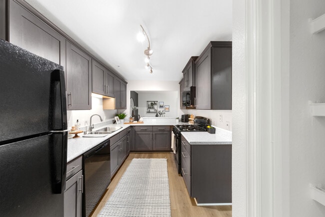 Photo - TGM Bull Run