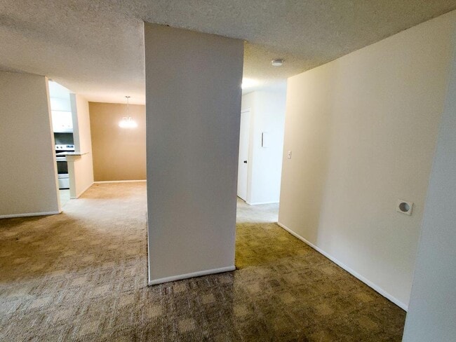 177 Springwood Cir
