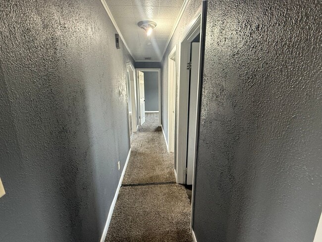 Photo - Check Out this Renovated House in a Quiet Neighborhood with a Large Yard!