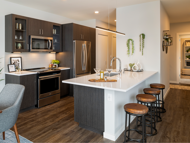 1 Crescent Apartments_living room kitchen