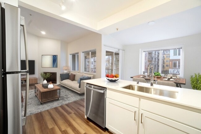 Photo - Samara Redmond